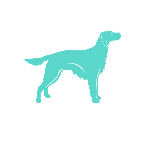 ClaimSetter Logo